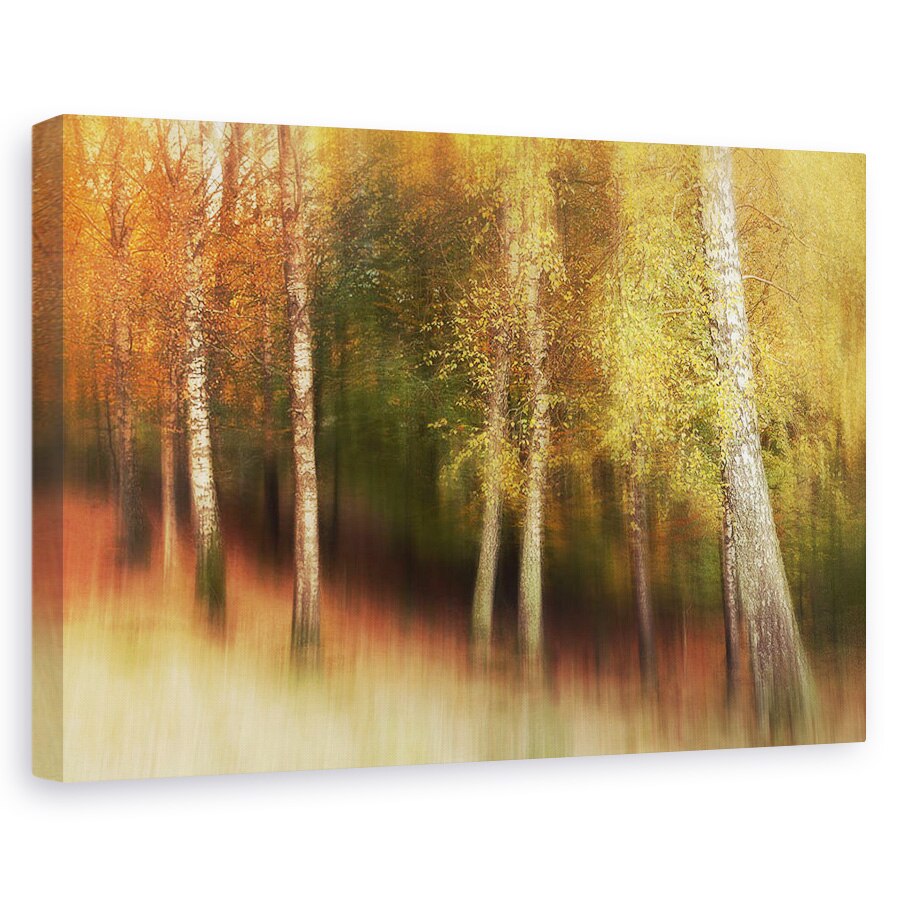 Tablou canvas - Culori De Toamna, Copaci, 20 x 30 cm