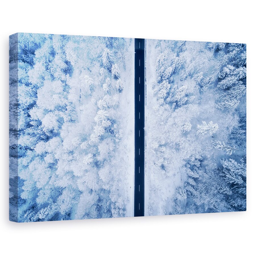 Tablou canvas - Un Drum Inghetat, Peisaj, Mod, Copaci, 20 x 30 cm