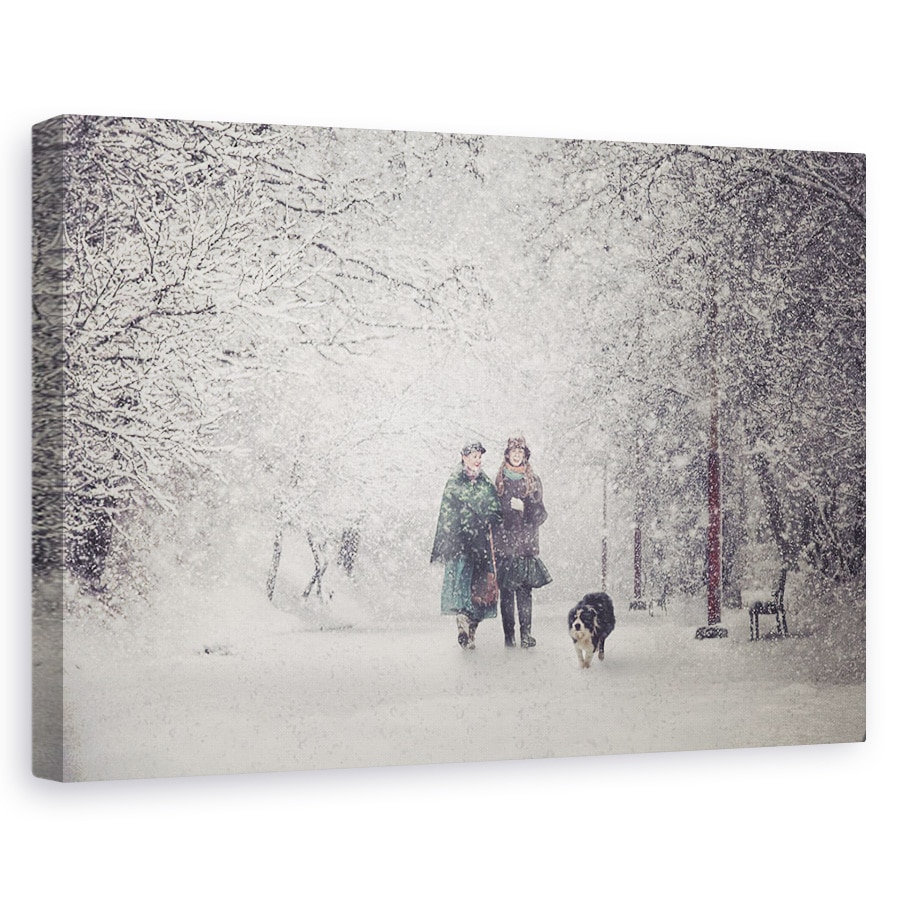 Tablou canvas - Farmecul Furtunii De Zapada, Emotie, Sentiment, Viscol, 40 x 60 cm