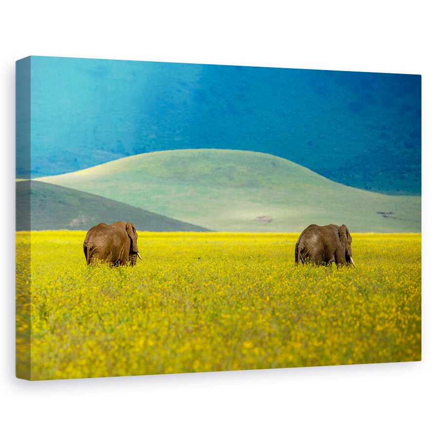 Tablou canvas - Elefant, Alb-Negru, Africa, Camp, 40 x 60 cm