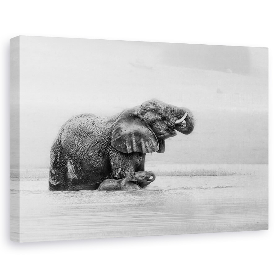 Tablou canvas - Traversarea Raului Cu Mama, Trecere, Alb-Negru, Elefanti, 40 x 60 cm