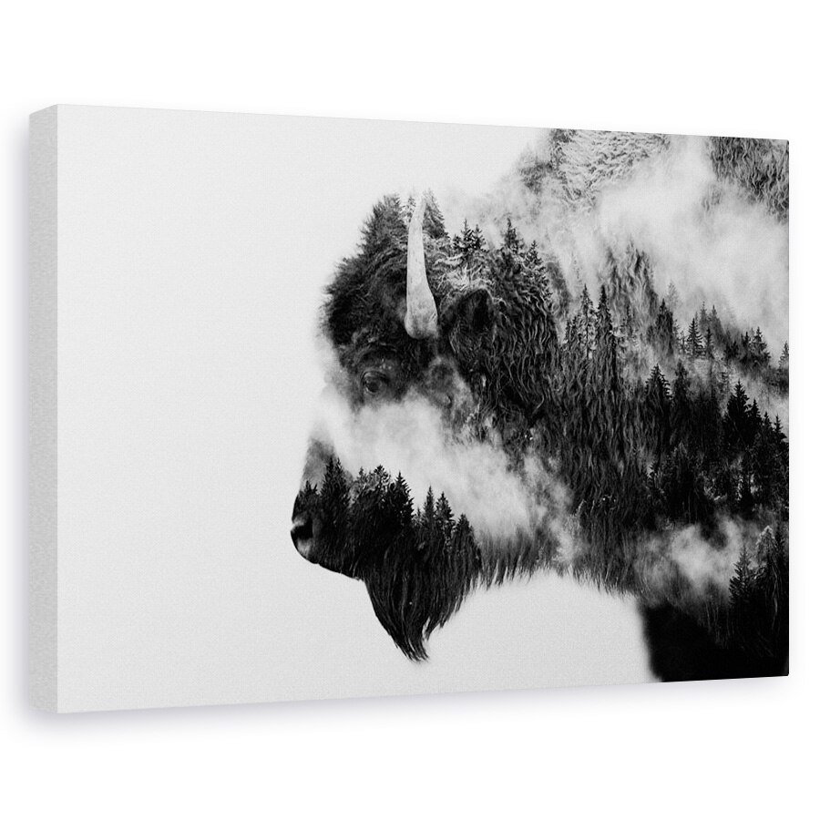 Tablou canvas - Bizon, Animal, Mamifer, Alb-Negru, 40 x 60 cm