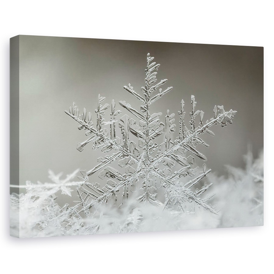 Tablou canvas - Fulg De Nea, Gheata, Inghet, 40 x 60 cm