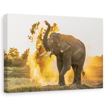 Tablou canvas - Zi Fierbinte, Elefanti, Praf, Fum, Animal, 20 x 30 cm Tablou canvas - Zi Fierbinte, Elefanti, Praf, Fum, Animal, 20 x 30 cm