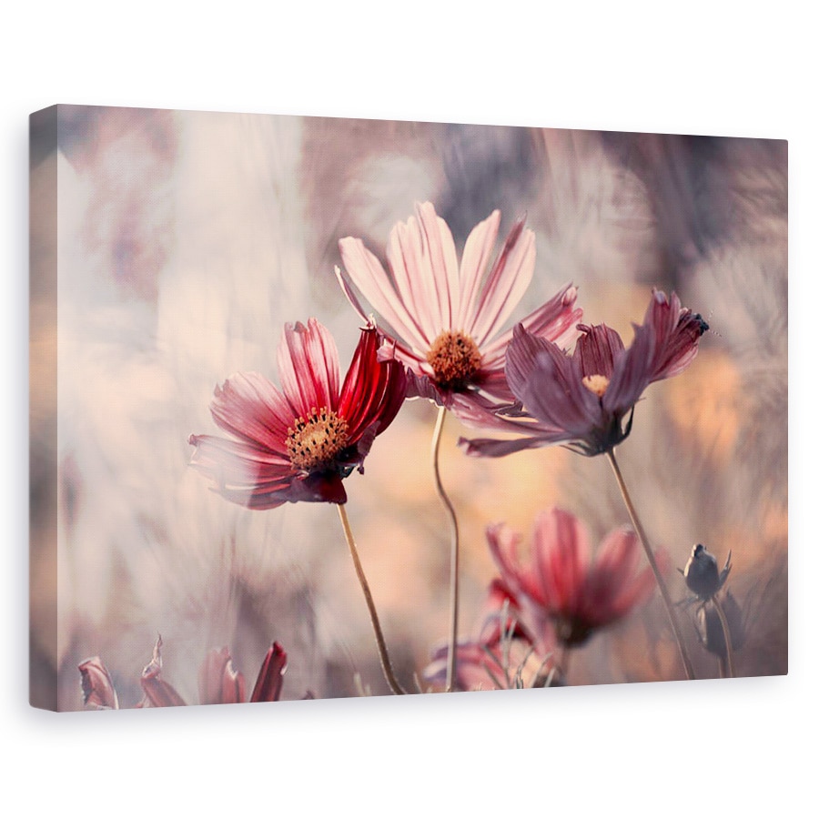 Tablou canvas - Cele Trei Surori, Roz, Macro, Floral, 40 x 60 cm