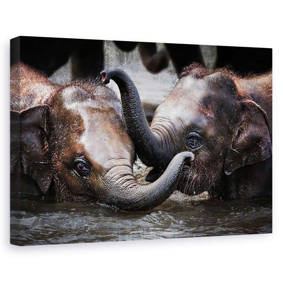 Tablou canvas - Doar Noi Doi, Elefant, Dragut, Joaca, 80x120 cm