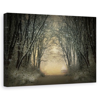 Tablou canvas - Poveste De Iarna, Copaci, Padure, Cale, 40 x 60 cm Tablou canvas - Poveste De Iarna, Copaci, Padure, Cale, 40 x 60 cm