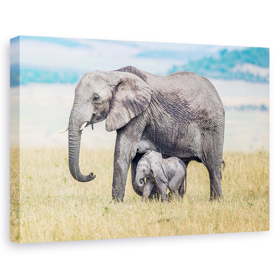 Tablou canvas - Unul Mititel, Salbatic, Natura, Animal, 20 x 30 cm