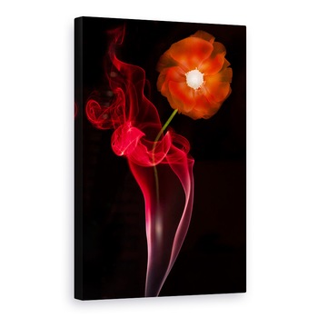 Tablou canvas - Floare Rosie, Alb-Negru, Floare, Vaza, Fum, 80x120 cm Tablou canvas - Floare Rosie, Alb-Negru, Floare, Vaza, Fum, 80x120 cm