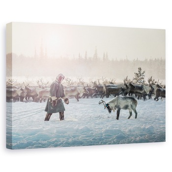 Tablou canvas - Vanatoare, Animale, Reni, Iarna, 80x120 cm Tablou canvas - Vanatoare, Animale, Reni, Iarna, 80x120 cm