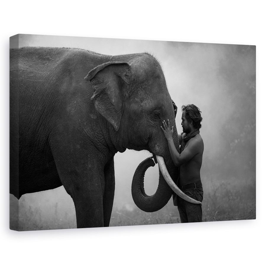 Tablou canvas - Prieten, Elefant, Om, Vanator, Thailanda, Relatii, 40 x 60 cm