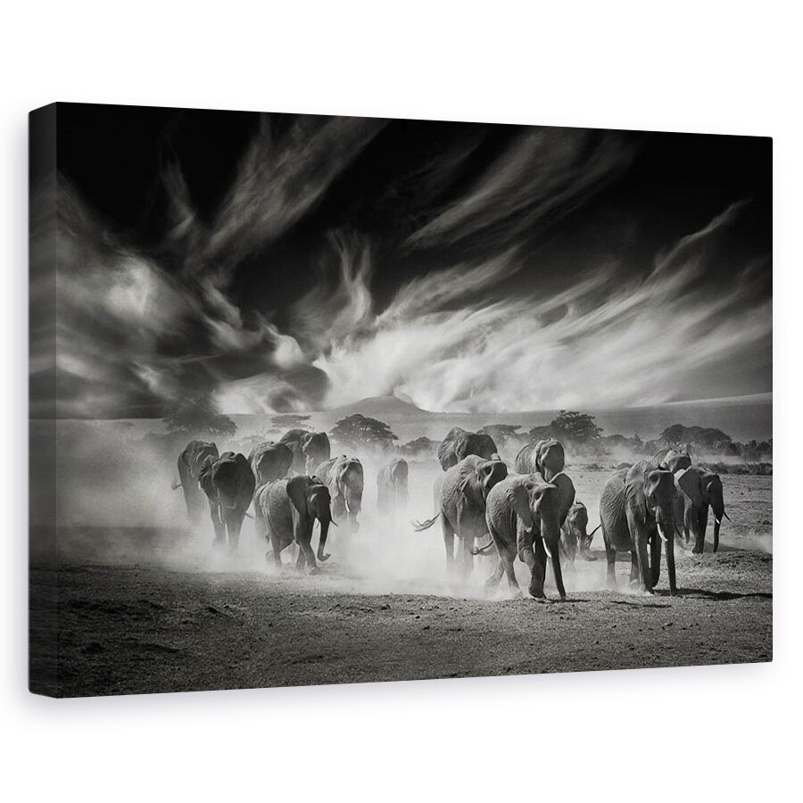 Tablou canvas - Cerul, Praful Si Elefantii, Salbatic, Natura, Animale, 40 x 60 cm