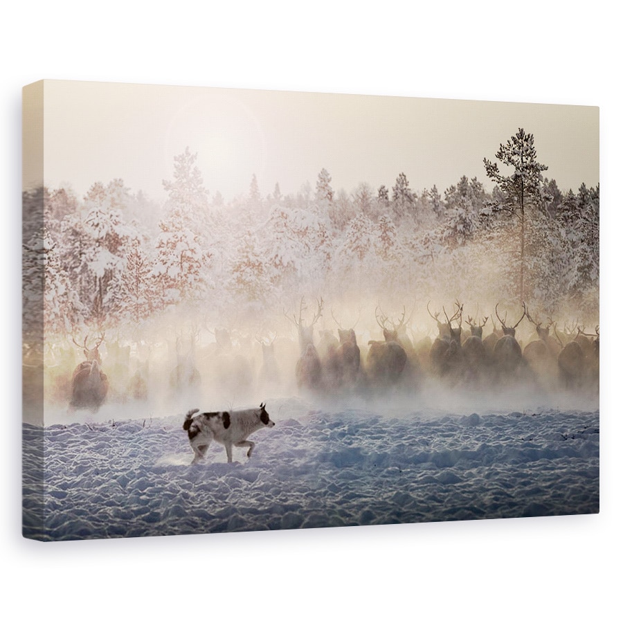 Tablou canvas - Reni - Nordul Rusiei, Animale, Iarna, 40 x 60 cm