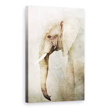 Tablou canvas - Elefant, Animale, 40 x 60 cm Tablou canvas - Elefant, Animale, 40 x 60 cm
