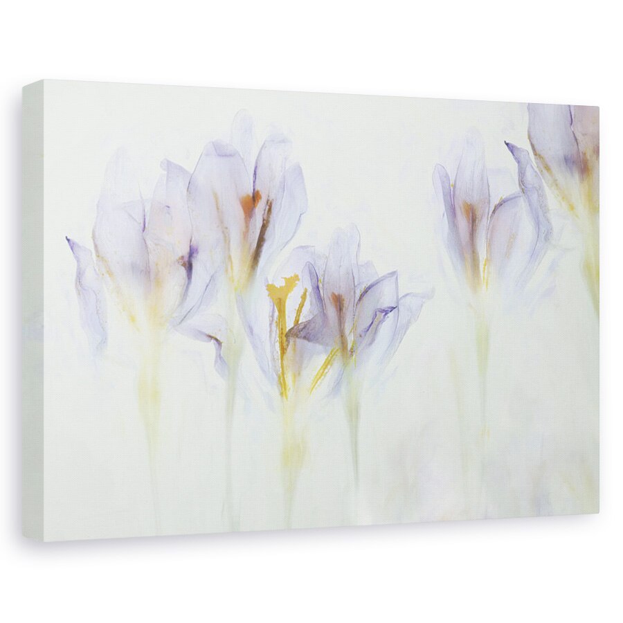 Tablou canvas - Primavara, Crocus, Floare, Pictor, 20 x 30 cm