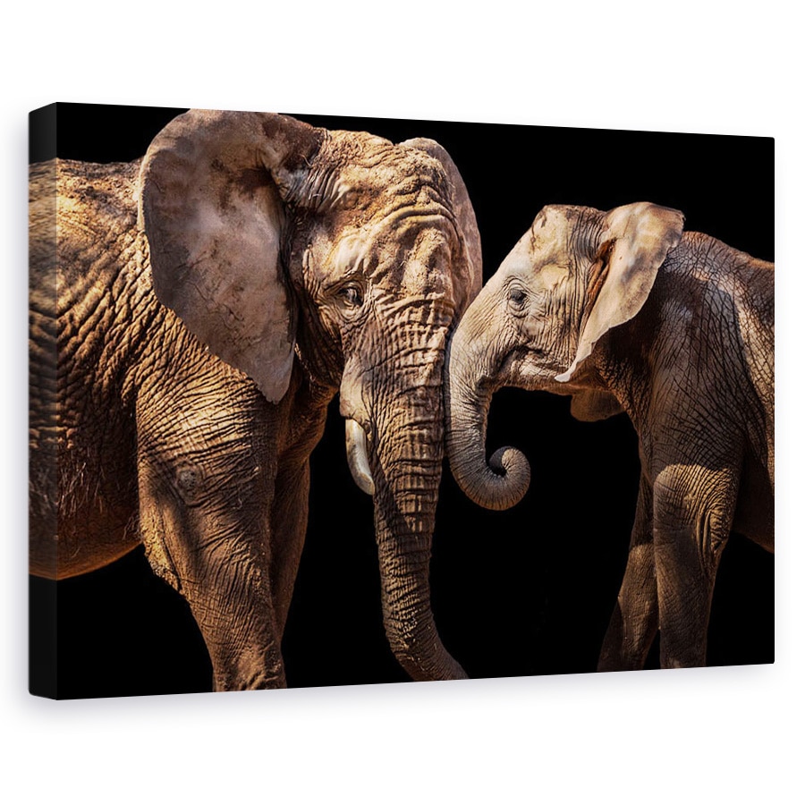 Tablou canvas - Elefanti, Dragoste, Licitatie, Tandrete, 20 x 30 cm