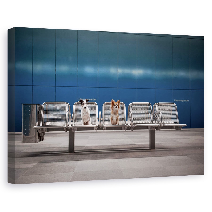 Tablou canvas - Dimineata De Luni, Caini, Hamburg, Metrou, Albastru, Animale, 80x120 cm