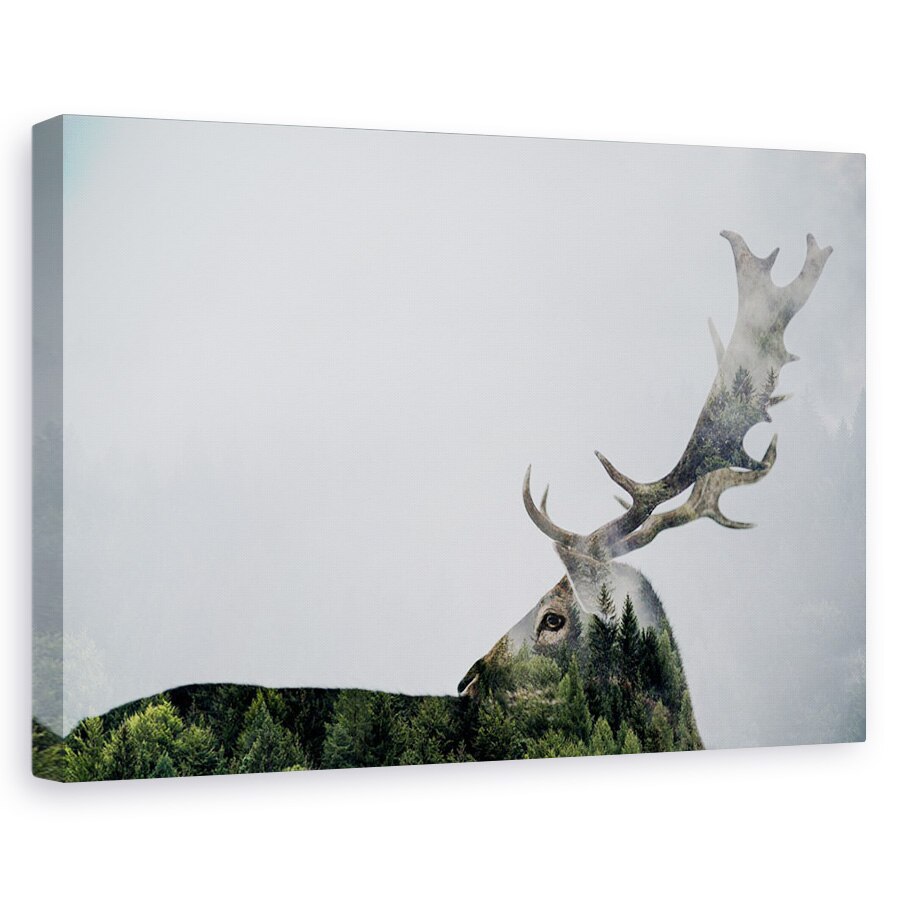 Tablou canvas - Corn De Cerb, Padure, Peisaj, 20 x 30 cm