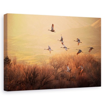 Tablou canvas - Timp Pretios, Macara, Macarale, Zbor, Formatie, 20 x 30 cm Tablou canvas - Timp Pretios, Macara, Macarale, Zbor, Formatie, 20 x 30 cm