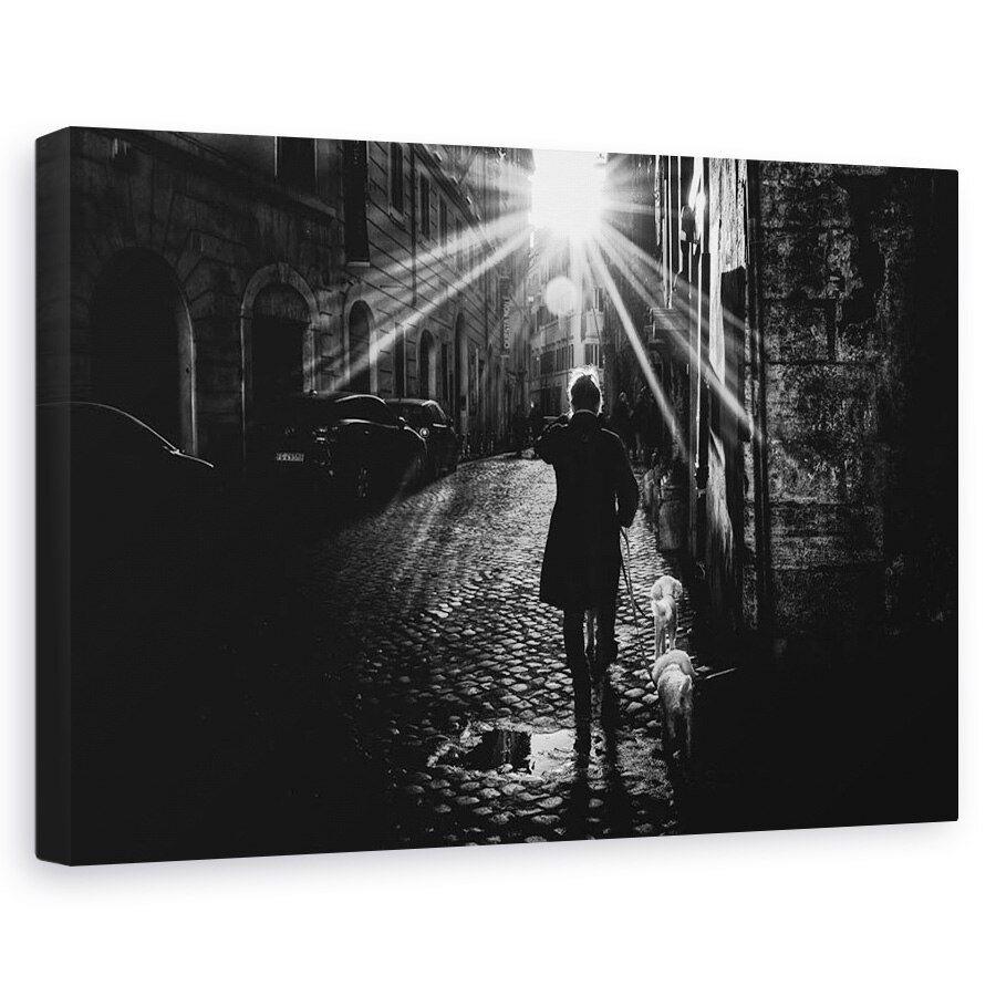 Tablou canvas - Plimbare Cu Prietenii, Strada, Oameni, Caini, Soare, 20 x 30 cm