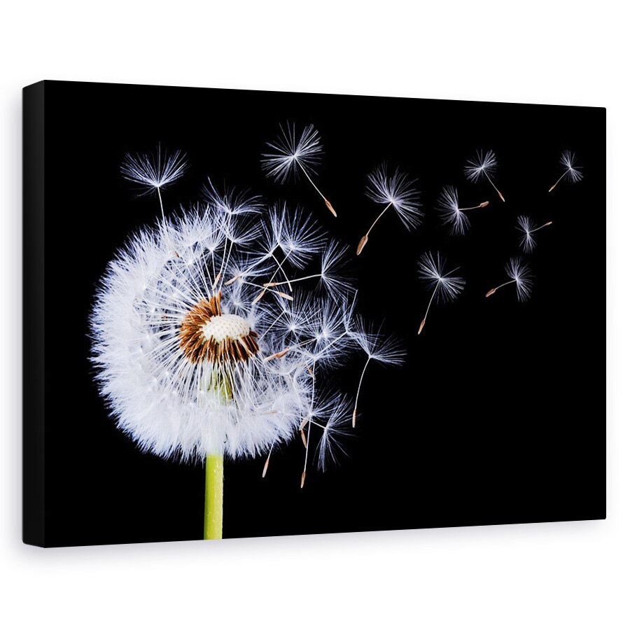 Tablou canvas - Sufland In Papadie, Abstract, Inflorit, 20 x 30 cm