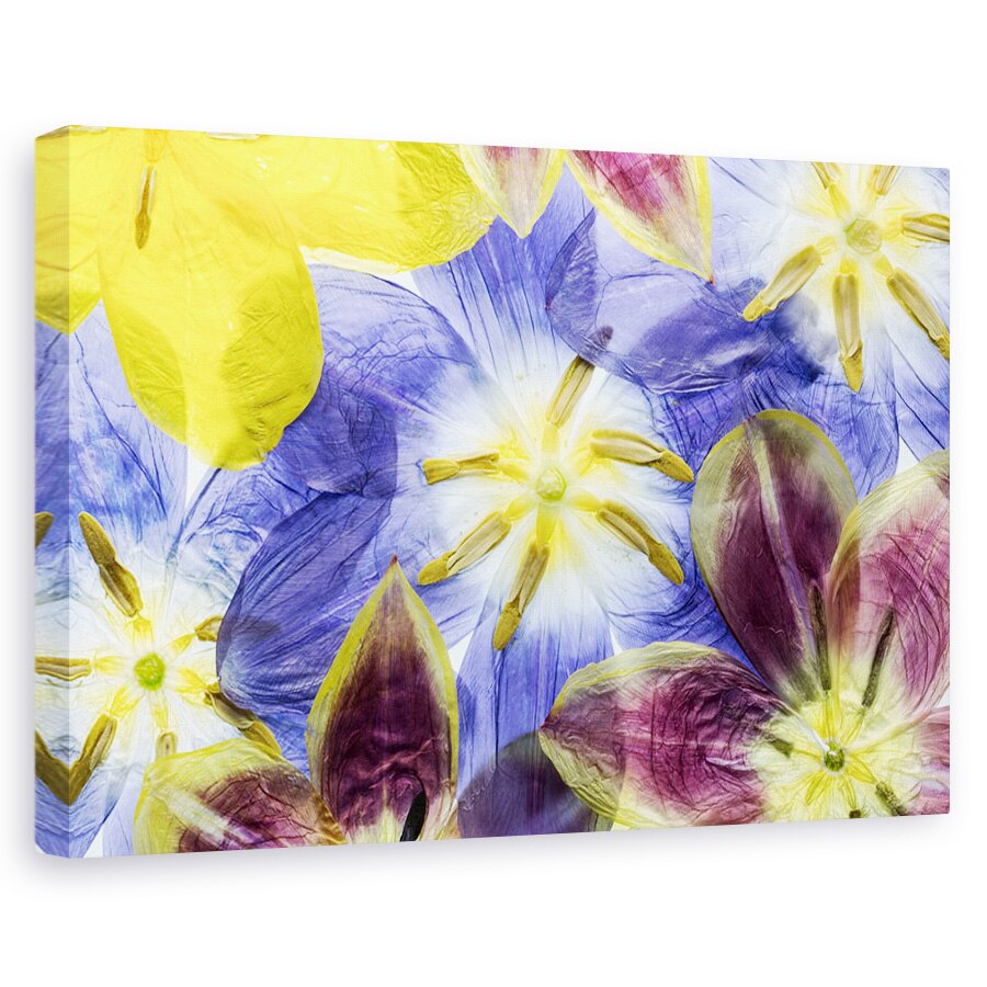 Tablou canvas - Lalele, Primavara, Floare, Floral, 20 x 30 cm