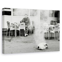 tablou canvas - hot dog strada urban bucuresti caine romania 20 x 30 cm imagen 2_0_
0