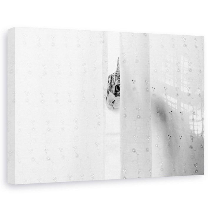 Картина, На платно, Котка дебне зад завесата, Козина, Домашен любимец, 60 x 90 cм