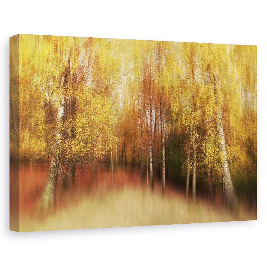 Tablou canvas - Impresie De Toamna, Culoare, Copaci, 20 x 30 cm