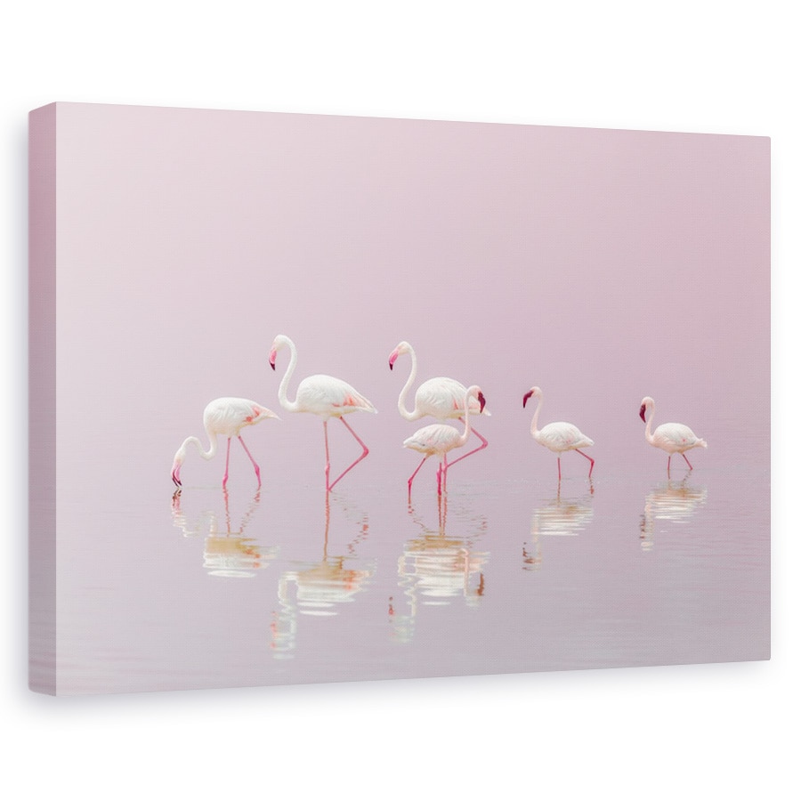 Tablou canvas - Flamingo, Apa, Roz, Tanzania, Serengeti, 20 x 30 cm