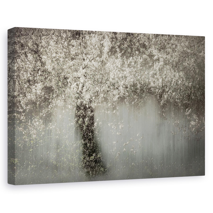 Tablou canvas - Floare Alba, Primavara, Inflorit, Alb, 20 x 30 cm