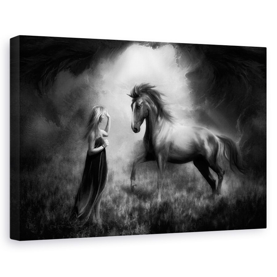 Tablou canvas - Legatura Dintre Noi, Cal, Poveste, Armasar, Intuneric, 20 x 30 cm