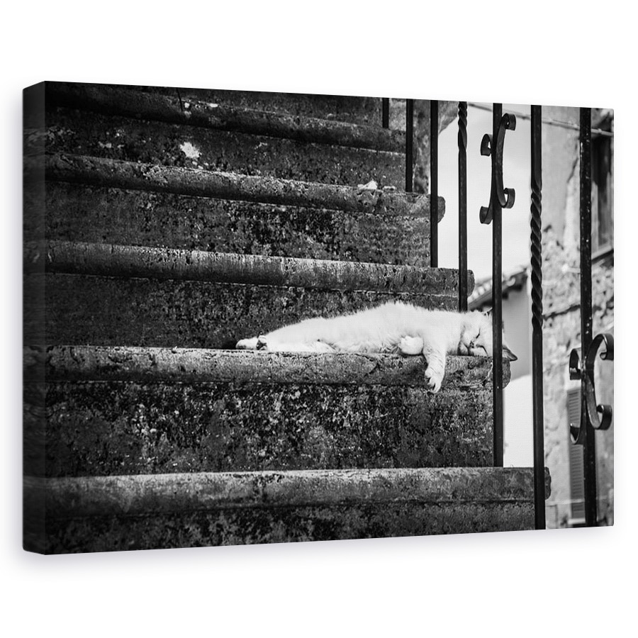 Tablou canvas - Viata Lenta, Pisica, Vis, Pitigliano, Italia, Borgo, 20 x 30 cm