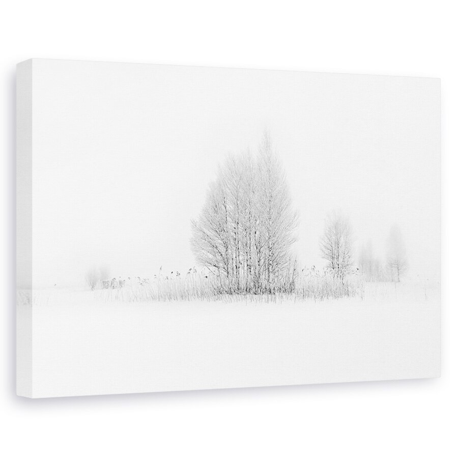 Tablou canvas - Mesteceni De Iarna, Zapada, Rece, Inghet, 20 x 30 cm