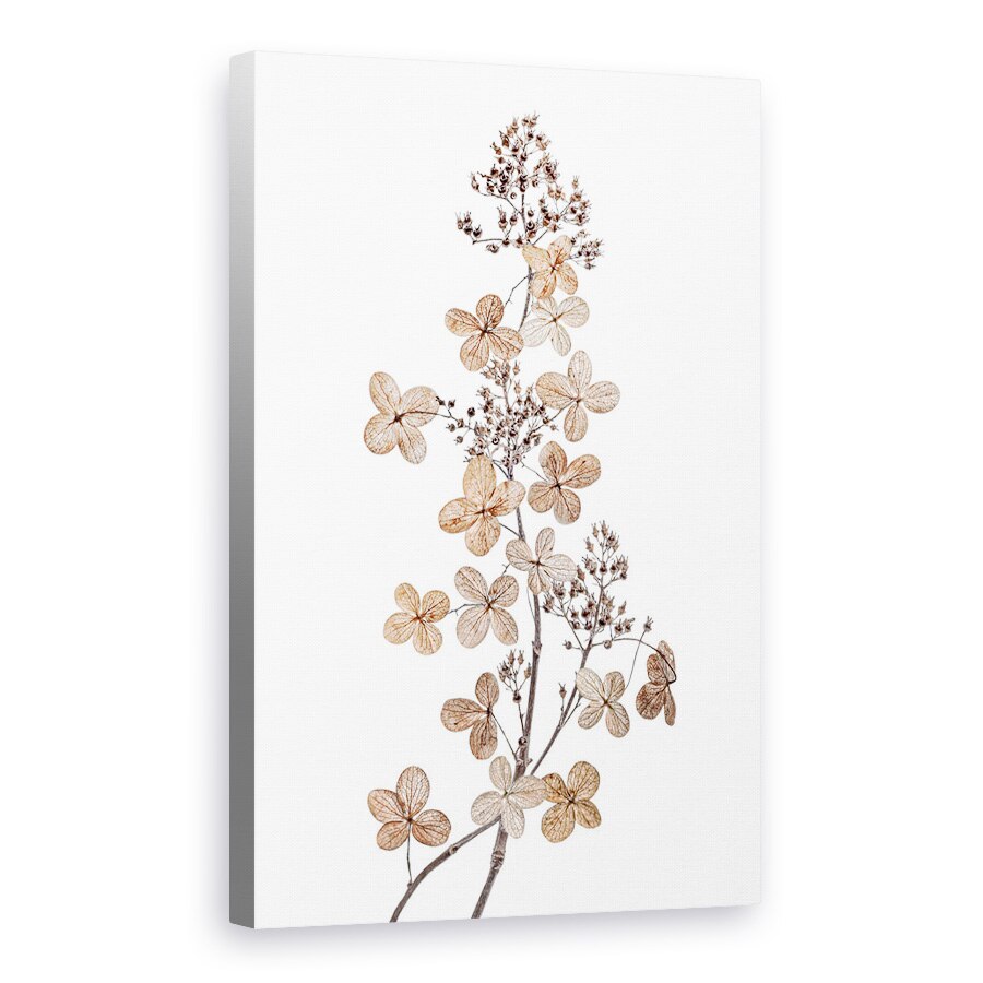 Tablou canvas - Hortensie Paniculata, Toamna, Sezon, Floral, 20 x 30 cm