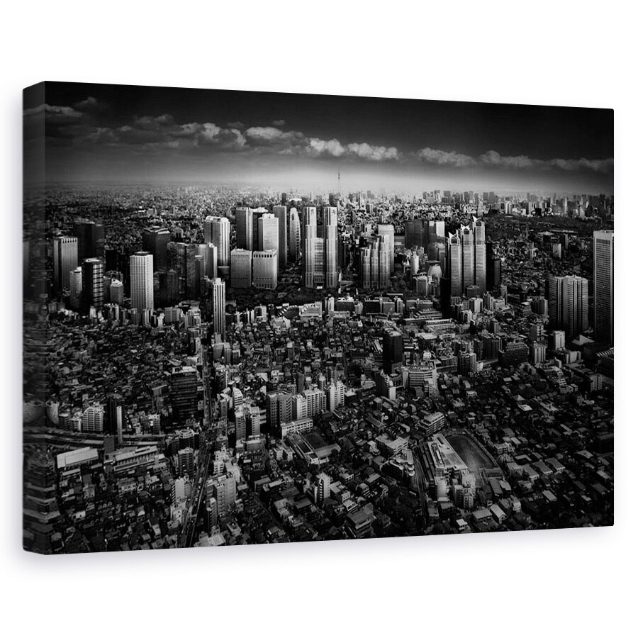 Tablou canvas - Plimbare In Shinjuku, Dezordine, Cluster, Peisaj Urban, Cer, Oras, 80x120 cm