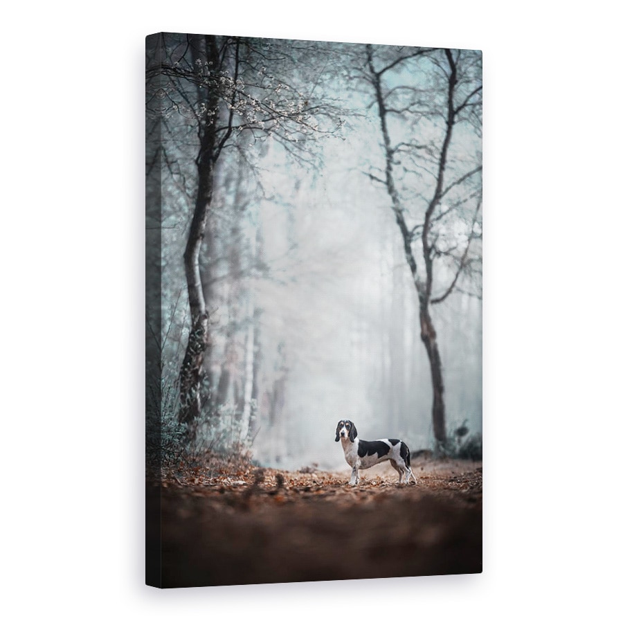 Tablou canvas - Vino Spre Lumina Lucrurilor Si Lasa Natura Sa Iti Fie Profesor, Caini, Animale, 60 x 90 cm