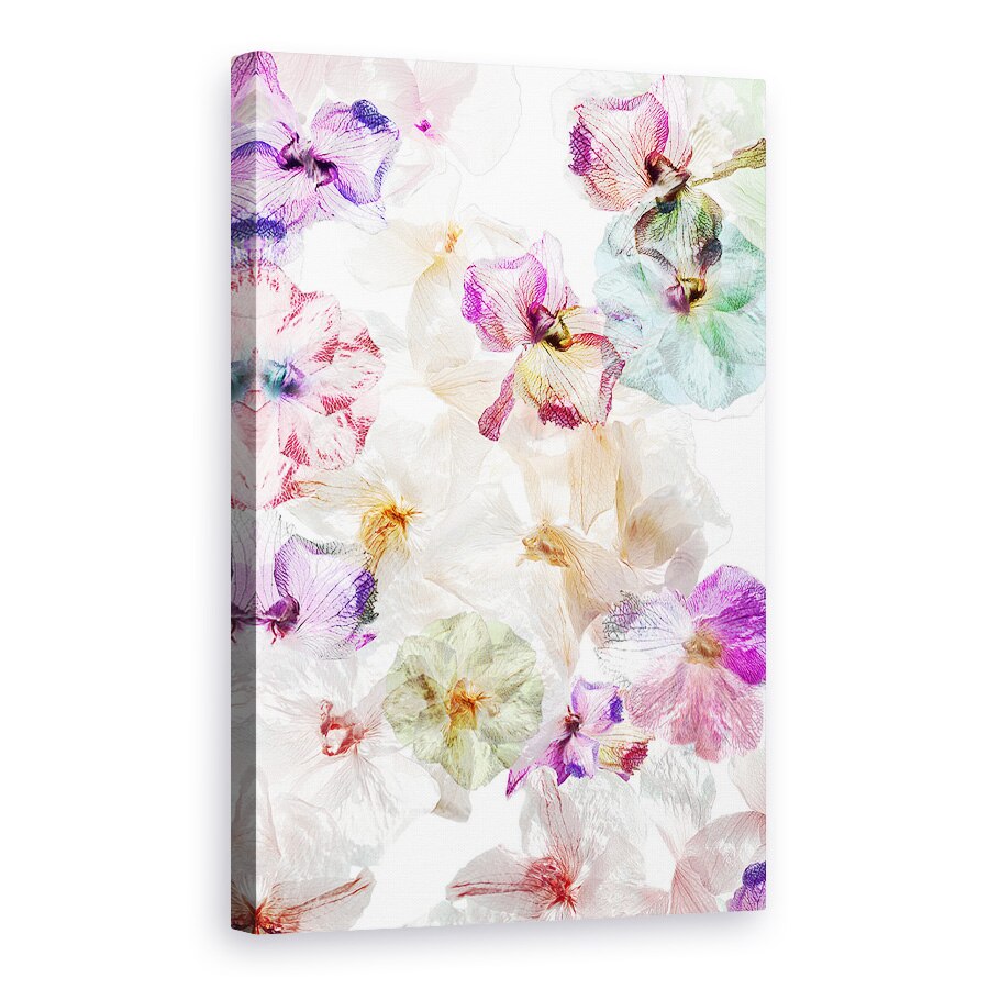 Tablou canvas - Orhidee Fantoma, Lumina, Floare, 20 x 30 cm