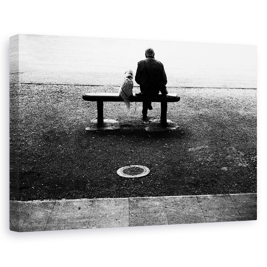 Tablou canvas - Prieteni, Om, Caine, Prieten, 20 x 30 cm