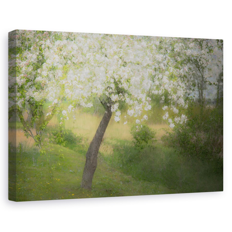 Tablou canvas - In Gradina, Copac, Primavara, Expunere Multipla, Flori, 20 x 30 cm