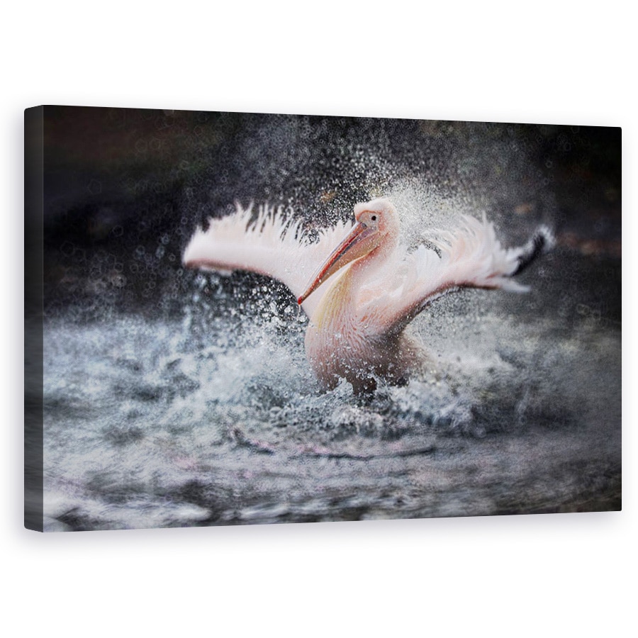 Tablou canvas - Distractie La Scaldat, Aripi, Picaturi De Apa, 60 x 100 cm