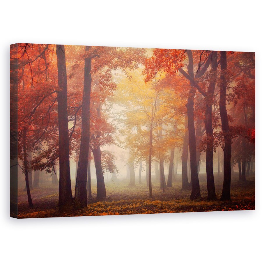 Tablou canvas - Simte, Copac, Ceata, Toamna, Frunze, 50 x 80 cm