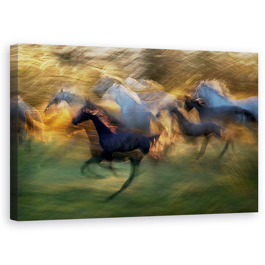 Tablou canvas - Galop De Foc, Cal, Actiune, Viteza, 60 x 100 cm