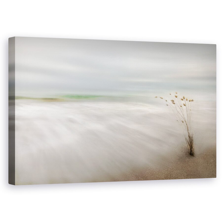 Tablou canvas - Urechi In Mare, Peisaj Marin, Floare, Moale, 60 x 100 cm