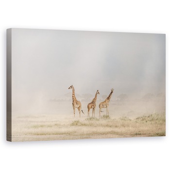 Tablou canvas - Imprastierea Diavolilor De Praf In Amboseli, Natura, Animal, Salbatic, Girafa, 60 x 100 cm Tablou canvas - Imprastierea Diavolilor De Praf In Amboseli, Natura, Animal, Salbatic, Girafa, 60 x 100 cm