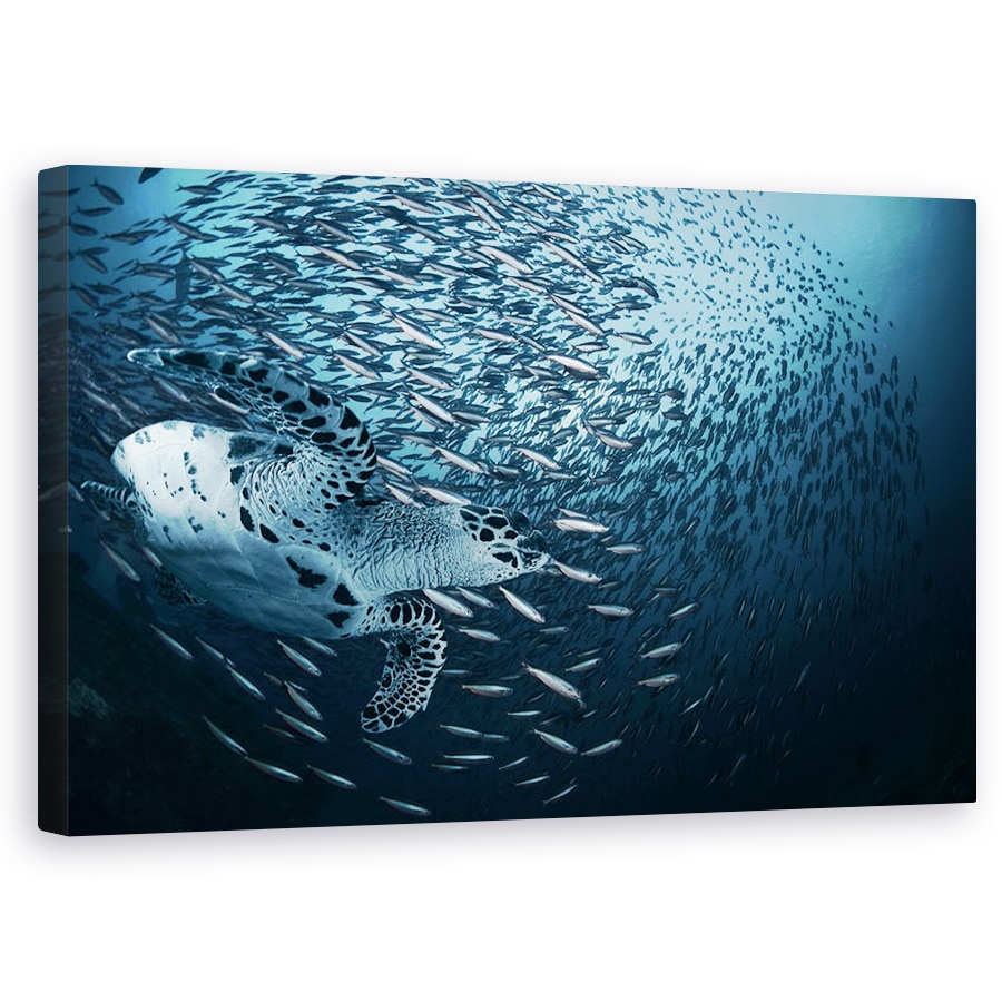 Tablou canvas - Indoit, Apa, Testoasa, Peste, Sub Apa, Natura, 50 x 80 cm