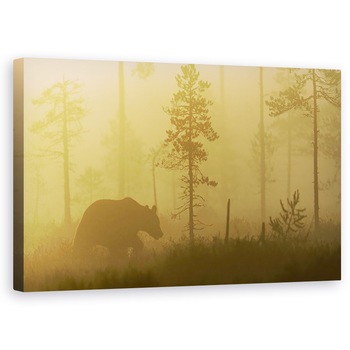 Tablou canvas - Ceata Matinala, Natura, Animal, Salbatic, Salbatic, Urs, 60 x 100 cm Tablou canvas - Ceata Matinala, Natura, Animal, Salbatic, Salbatic, Urs, 60 x 100 cm