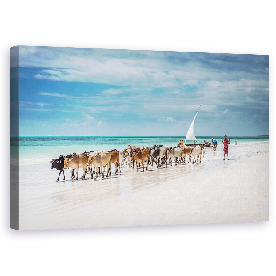 Tablou canvas - Vitele Masai Pe Plaja Zanzibar, Peisaj, Vite, 60 x 100 cm