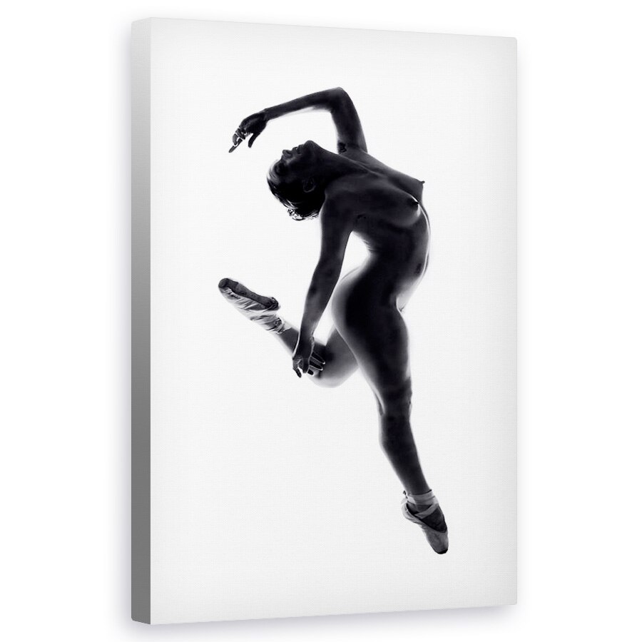 Tablou canvas - Fine Art Dance, Punct, Nud, Dezbracat, 60 x 100 cm