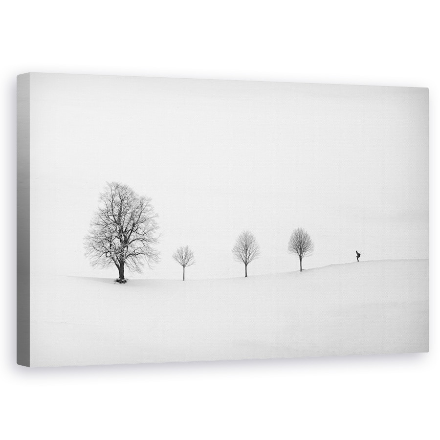 Tablou canvas - Intoarce Ca De Obicei, Simplu, Compozitie, Schior, Persoana, Peisaj, 50 x 80 cm